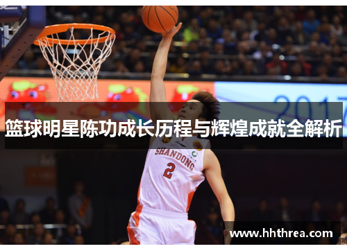 篮球明星陈功成长历程与辉煌成就全解析